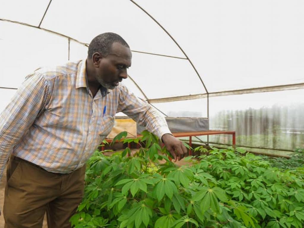RDC  Le ministère de l'Agriculture et l'IITA signent un protocole d